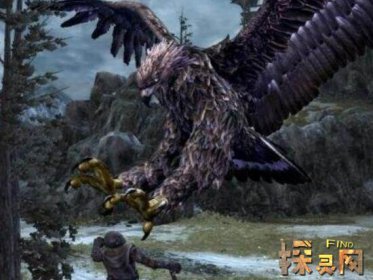 幸好這些動(dòng)物滅絕了，滄龍?jiān)诤Ｑ笾袥]有對(duì)手(頂級(jí)兇猛)